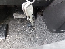 SHSRD68596U****** Salvage 2006 Honda CR-V in Maryland State