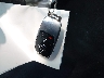W1KZF8DB2MA****** Salvamento 2021 Mercedes-Benz E-Class en Estado de California