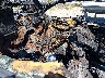 WDBTK65G45T****** Wrecked 2005 Mercedes-Benz CLK-Class in San Diego