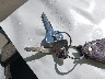 JYARN33E4FA****** Salvamento 2015 Yamaha FZ-09 en Estado de Washington