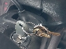 1D4HR48Z93F****** Salvamento 2003 Dodge Durango en Estado de Massachusetts