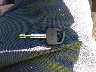 4TAVN73K4SZ****** Salvage 1995 Toyota Tacoma in New York State