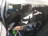 5NPDH4AEXGH****** Wrecked 2016 Hyundai Elantra in Tucson