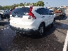5J6RM3H39EL****** Salvage and Wrecked 2014 Honda CR-V in Tennessee State