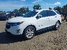 2GNAXSEV3K6****** Used and Repairable 2019 Chevrolet Equinox in Avenel New Jersey