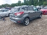 1FMCU9J95EU****** Salvamento y Destrozados 2014 Ford Escape en Estado de Massachusetts