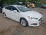 3FA6P0LU3ER****** Salvage and Wrecked 2014 Ford Fusion in Dundalk