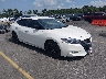 1N4AA6AP2GC****** Salvamento y Destrozados 2016 Nissan Maxima en Lexington