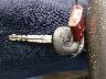 5TFRM5F10BX****** Salvage 2011 Toyota Tundra in Florida State