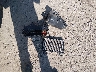 4T1BG22K3VU****** Wrecked 1997 Toyota Camry in Ohio State