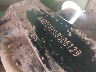 JKARFCA11LB****** Repairable 2020 Kawasaki Teryx in Rec Rides Online Exclusive