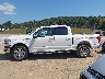 1FTEW1E45LK****** Reparables 2020 Ford F-150 en Estado de Tennessee