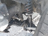 5TFSV54187X****** Salvamento y Reparables 2007 Toyota Tundra en Tampa