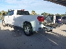 5TFSV54187X****** Salvamento y Reparables 2007 Toyota Tundra en Tampa