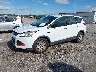 1FMCU0F74EU****** Usados y Reparables 2014 Ford Escape en West Palm Beach