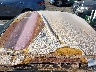 SAJNX2345SC****** Salvage and Repairable 1995 Jaguar XJS in California State