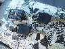 1FMZU67E21U****** Salvage 2001 Ford Explorer in North Carolina State