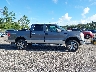 1FTFW1EV1AF****** Used 2010 Ford F-150 in Florida State