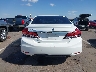 19XFB2F83EE****** Destrozados 2014 Honda Civic