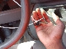 1FTNE24W79D****** Salvamento 2009 Ford E-250 en Estado de Massachusetts
