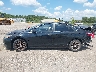 4T1BF1FK5FU****** Salvamento 2015 Toyota Camry
