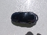 5YJSA1E2XJF****** Reparables 2018 Tesla Model S en Electric Vehicle Auctions