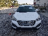 5XYZT3LB6GG****** Destrozados 2016 Hyundai Santa Fe en Estado de Alabama