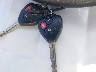 JTMZD33V186****** Salvamento 2008 Toyota RAV4 en Estado de Ohio