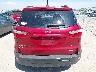 MAJ3S2GE4KC****** Wrecked 2019 Ford Ecosport