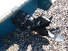 FGE3219***** Repairable 1996 Cobalt Other in Memphis