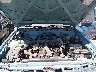 4TAUN41B8SZ****** Reparables 1995 Toyota Tacoma en Dallas-Fort Worth
