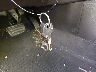 5XYZK4AG8BG****** Salvage 2011 Hyundai Santa Fe in North Carolina State