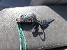 WDBSK75FX4F****** Salvage 2004 Mercedes-Benz SL-Class in North Carolina State