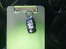 5XYPHDA19GG****** Salvage 2016 Kia Sorento in California State