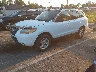5NMSG13DX9H****** Usados y Reparables 2009 Hyundai Santa Fe en High Point