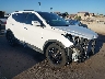 5XYZW4LA5HG****** Salvage and Wrecked 2017 Hyundai Santa Fe in Phoenix