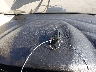1FADP3K23EL****** Salvage 2014 Ford Focus in Virginia State