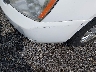 KNDMG4C7XB6****** Salvamento y Reparables 2011 Kia Sedona en Estado de Nueva Jersey