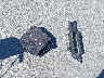 5YJ3E1EA9JF****** Wrecked 2018 Tesla Model 3 in California State