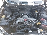 JF2SH6CC0AH****** Repairable 2010 Subaru Forester in Greenville