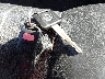 JN1AZ36A84T****** Repairable 2004 Nissan 350Z in Saint Louis