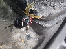 3FAHP0JA3BR****** Salvage 2011 Ford Fusion in Texas State