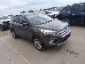 1FMCU0GD9HU****** Salvamento y Destrozados 2017 Ford Escape en Austin - IAA