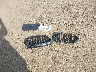 WBAJE7C55KW****** Wrecked 2019 BMW 540i in Washington State