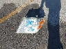 1N6AD0ER5BC****** Wrecked 2011 Nissan Frontier in California State