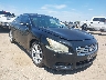 1N4AA5AP2EC****** Salvage and Wrecked 2014 Nissan Maxima in McAllen