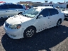 1NXBR32E63Z****** Used and Repairable 2003 Toyota Corolla in Las Vegas