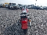 JKBVNCB11WB****** Salvamento y Reparables 1998 Kawasaki Vn800 en Estado de Pennsylvania