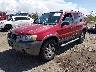 1FMYU93135K****** Used and Repairable 2005 Ford Escape in Albuquerque