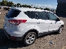 1FMCU9GX3EU****** Salvage and Wrecked 2014 Ford Escape in Idaho State